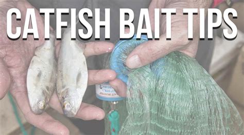 Spellbound Catfish: How Witchcraft Bait Can Help You Land More Fish